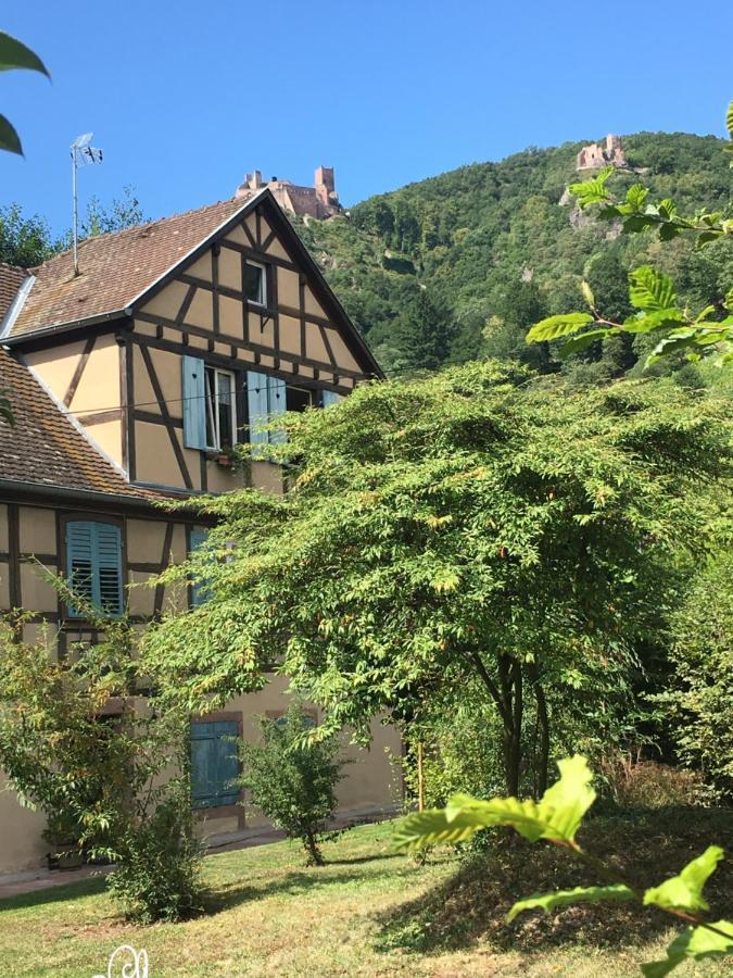 Le Gite Du Moulin ريبوفيل المظهر الخارجي الصورة