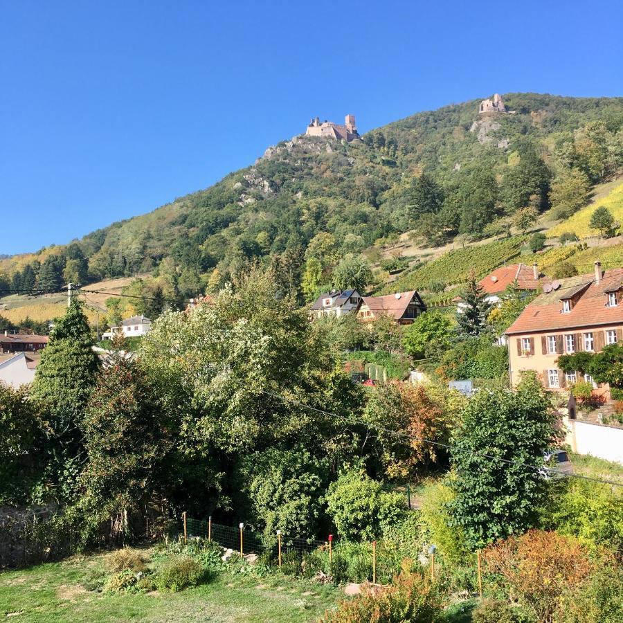 Le Gite Du Moulin ريبوفيل المظهر الخارجي الصورة